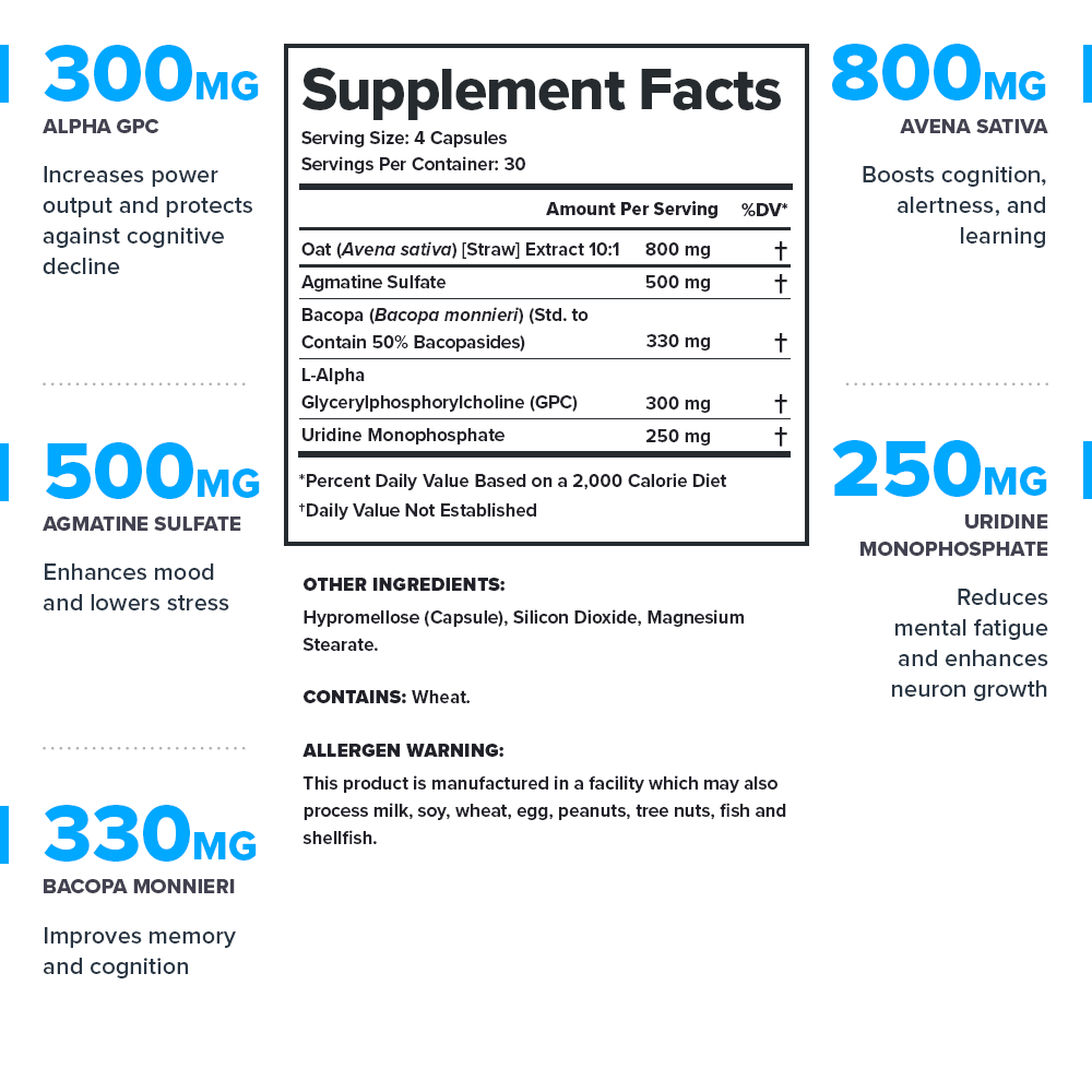 Legion Ascend Nootropic Brain Support 30 Servings