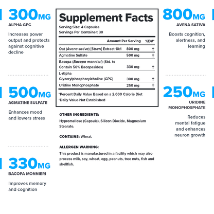 Legion Ascend Nootropic Brain Support 30 Servings